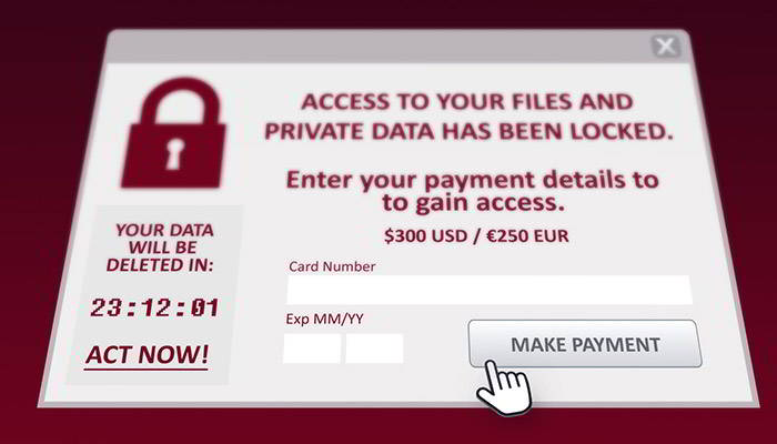 ciberseguros para empresas pymes