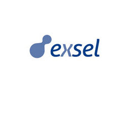 Exsel Seguros