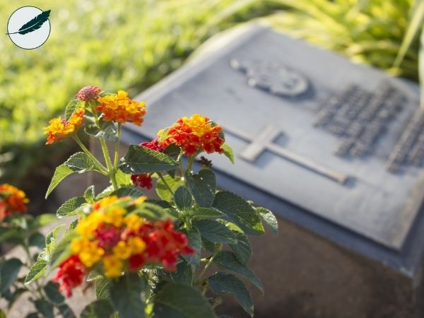 Qué cubre un Seguro de Decesos