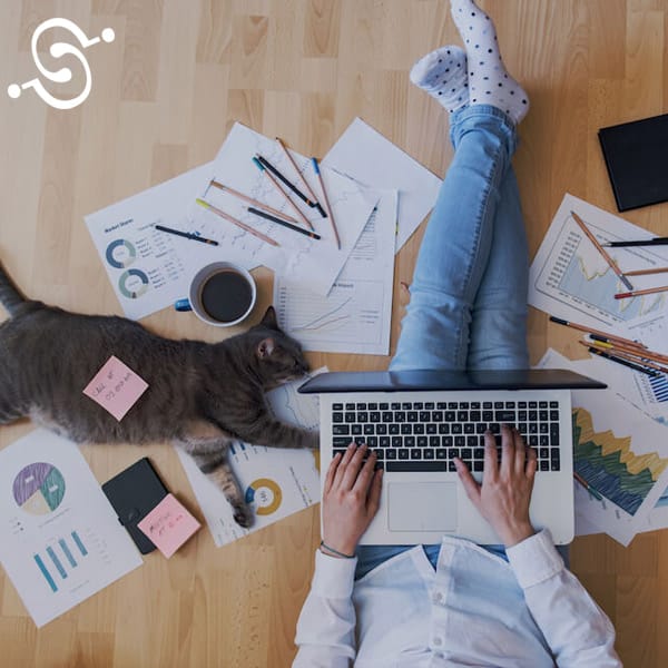 Desgravar seguro para autónomos