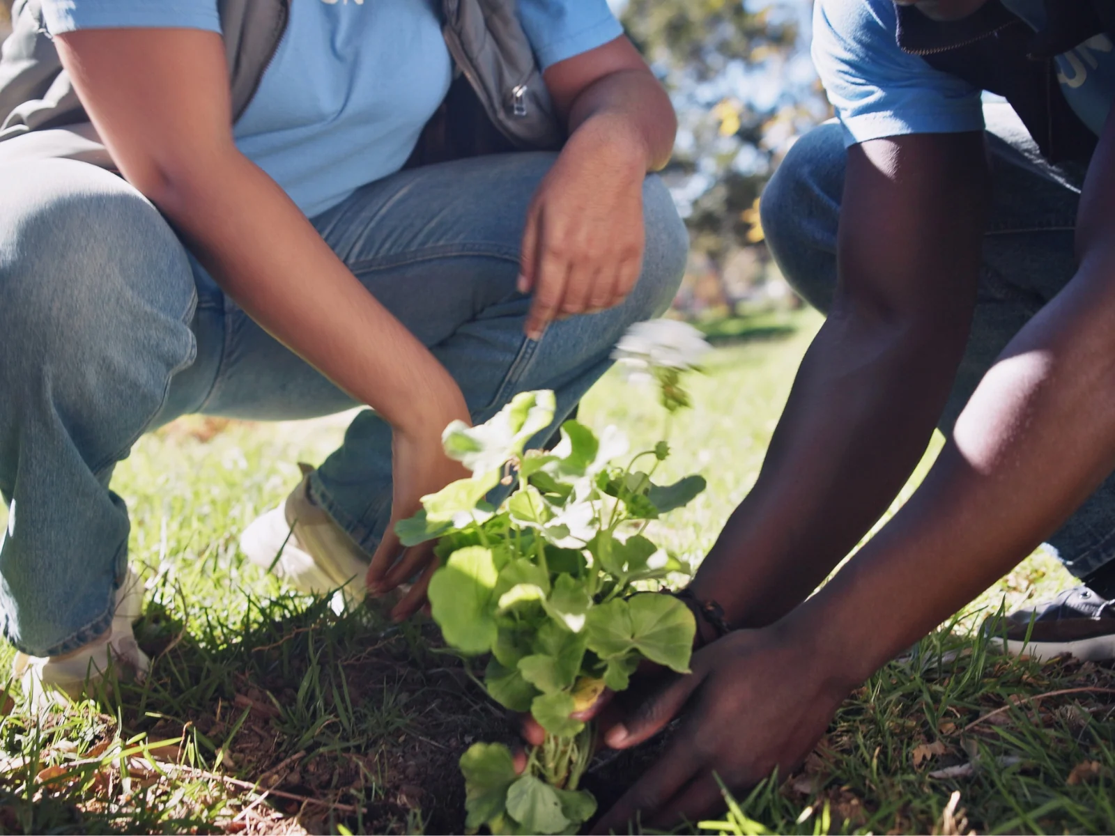 Personas plantando en una zona verde durante una actividad comunitaria